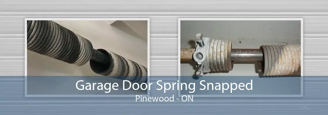 Garage Door Spring Snapped Pinewood - ON