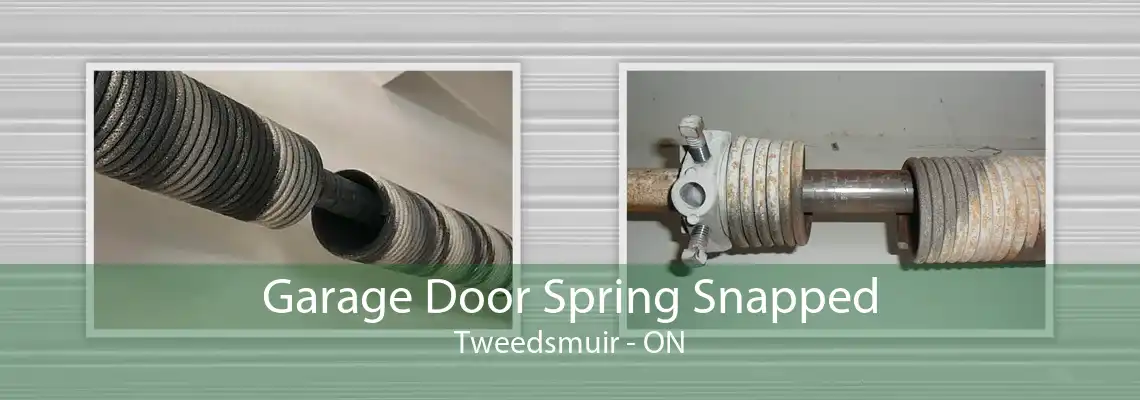 Garage Door Spring Snapped Tweedsmuir - ON