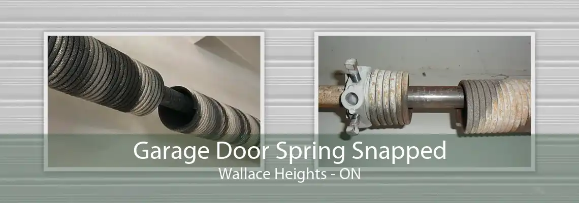 Garage Door Spring Snapped Wallace Heights - ON