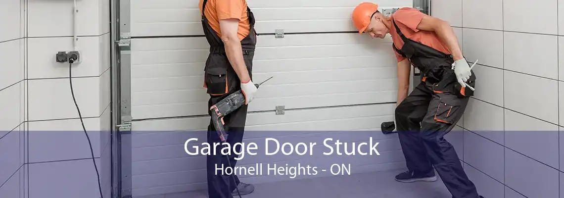 Garage Door Stuck Hornell Heights - ON