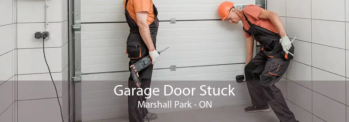 Garage Door Stuck Marshall Park - ON