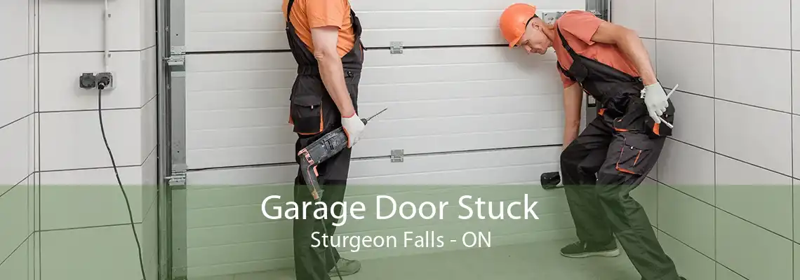 Garage Door Stuck Sturgeon Falls - ON