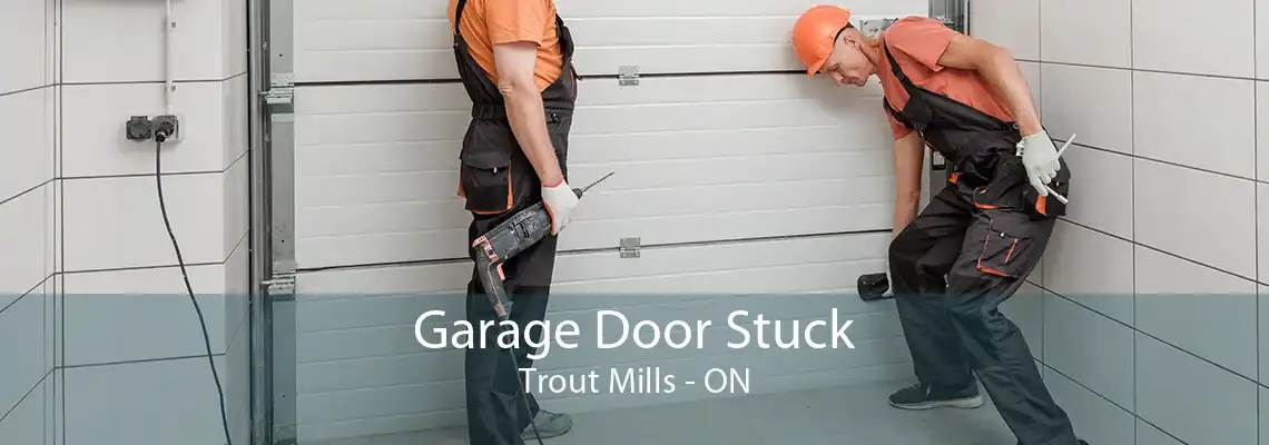 Garage Door Stuck Trout Mills - ON