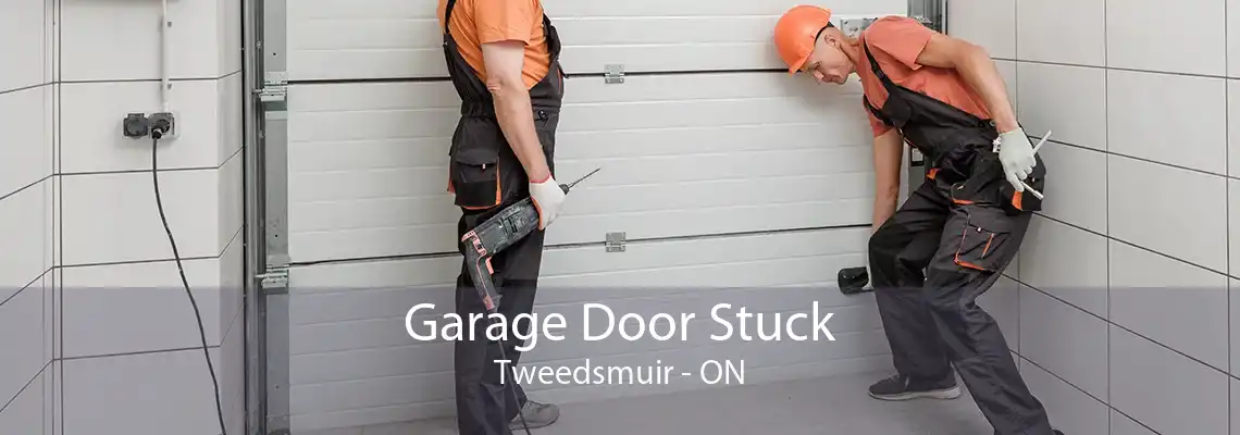 Garage Door Stuck Tweedsmuir - ON
