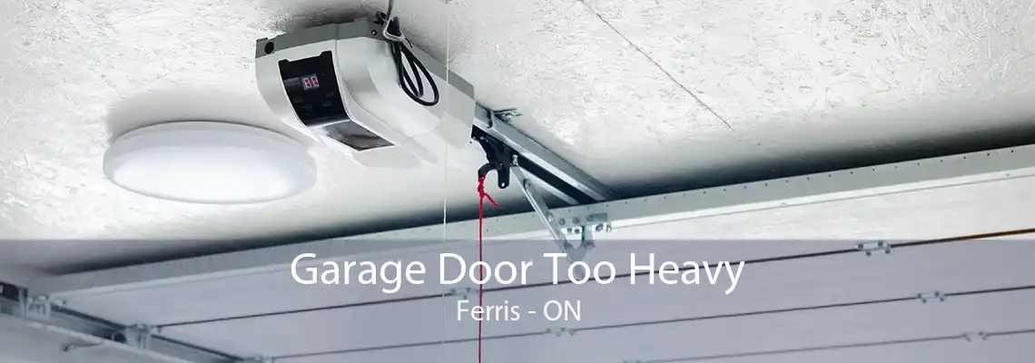 Garage Door Too Heavy Ferris - ON