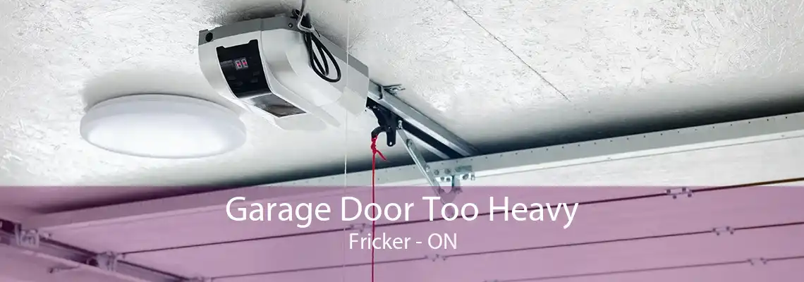 Garage Door Too Heavy Fricker - ON