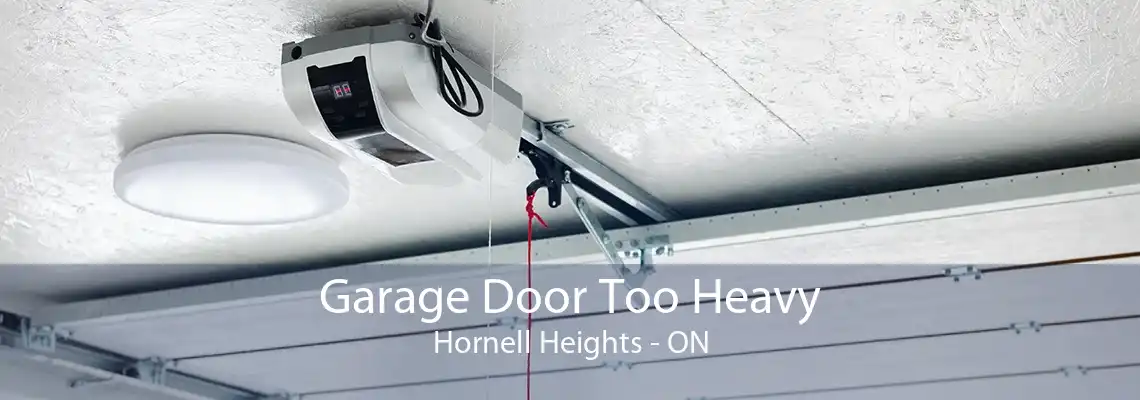 Garage Door Too Heavy Hornell Heights - ON