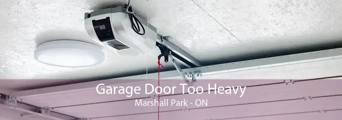Garage Door Too Heavy Marshall Park - ON