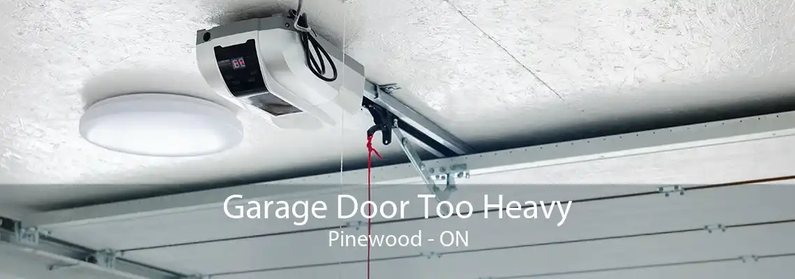 Garage Door Too Heavy Pinewood - ON