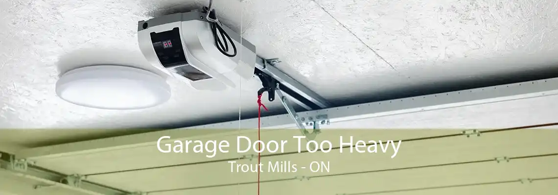 Garage Door Too Heavy Trout Mills - ON