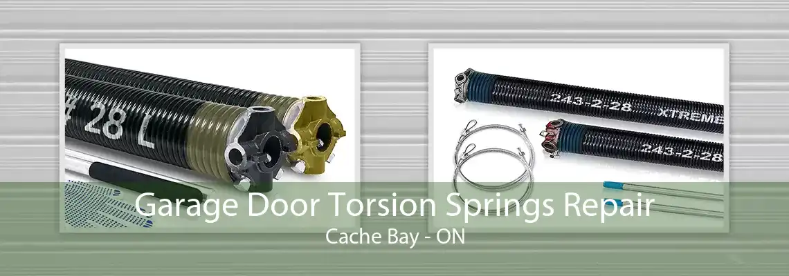 Garage Door Torsion Springs Repair Cache Bay - ON