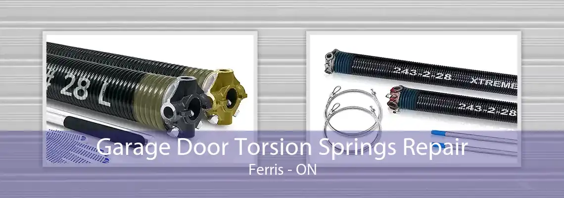 Garage Door Torsion Springs Repair Ferris - ON