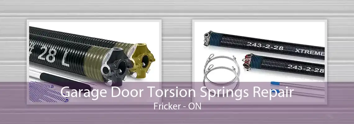 Garage Door Torsion Springs Repair Fricker - ON