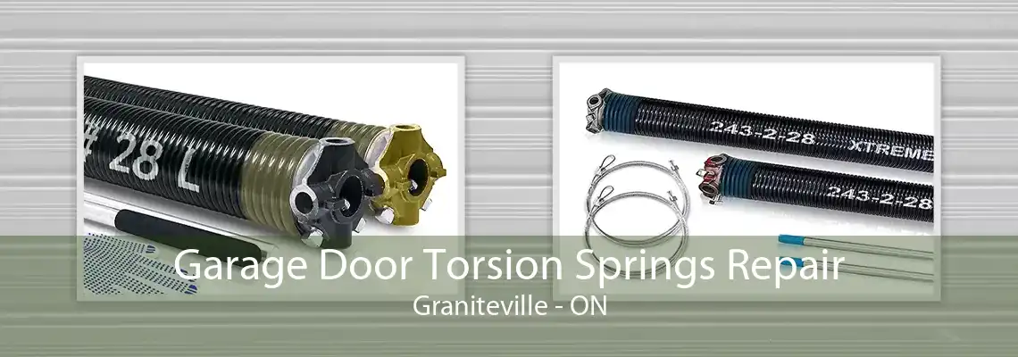 Garage Door Torsion Springs Repair Graniteville - ON