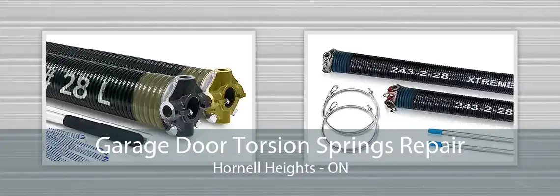 Garage Door Torsion Springs Repair Hornell Heights - ON