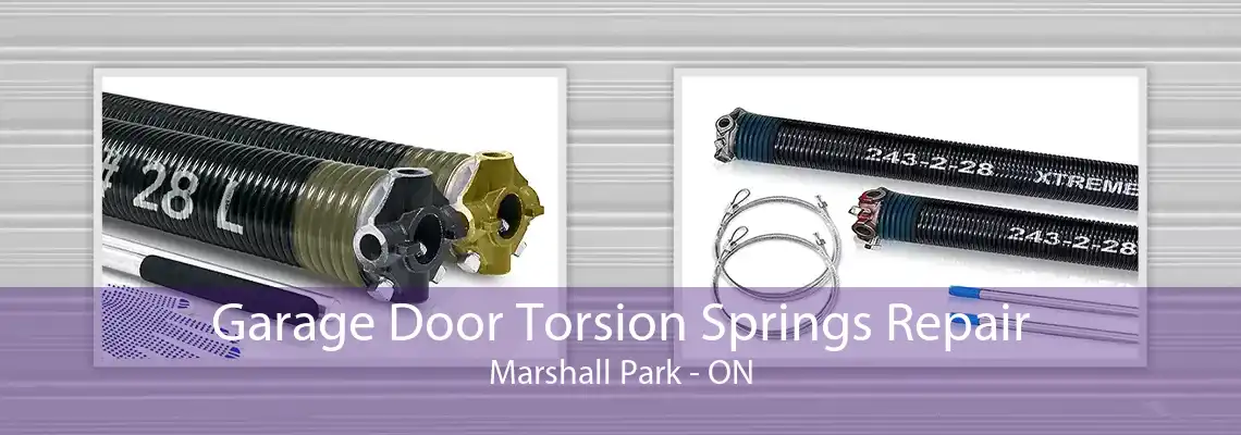 Garage Door Torsion Springs Repair Marshall Park - ON