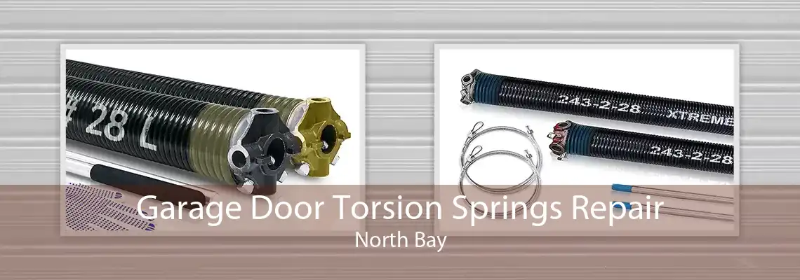 Garage Door Torsion Springs Repair North Bay