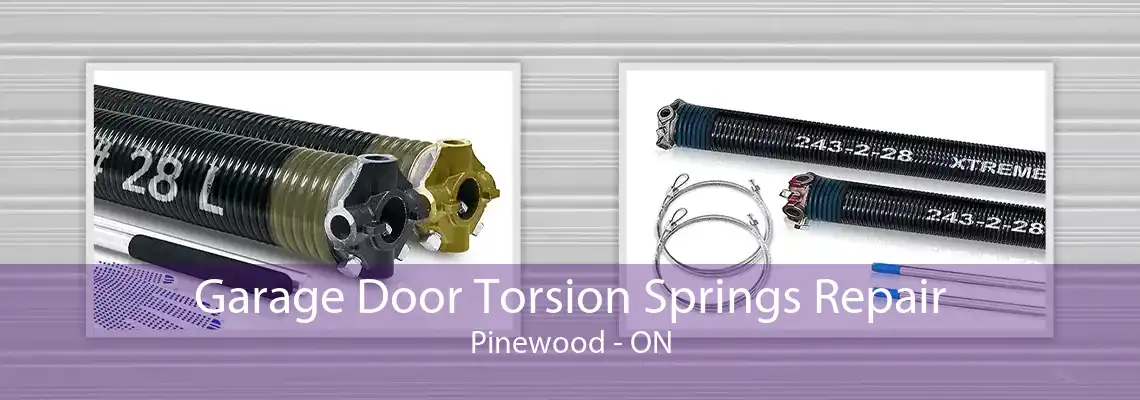 Garage Door Torsion Springs Repair Pinewood - ON