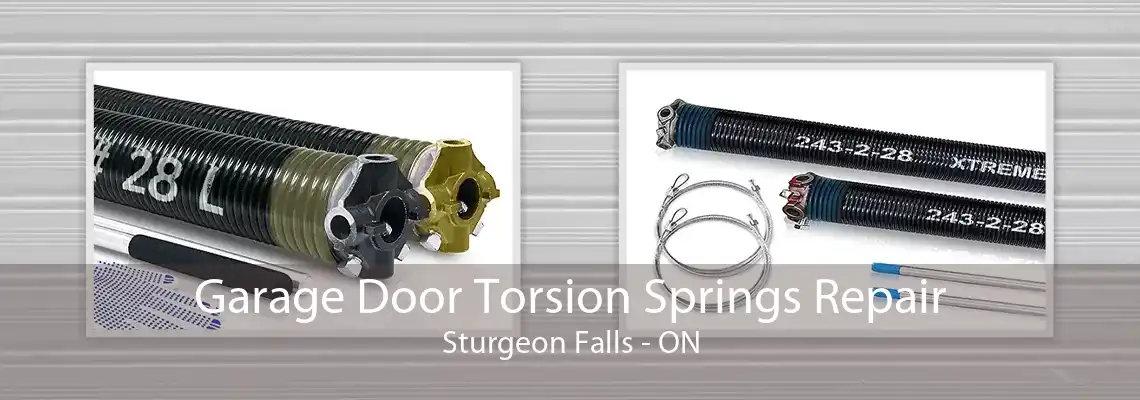 Garage Door Torsion Springs Repair Sturgeon Falls - ON