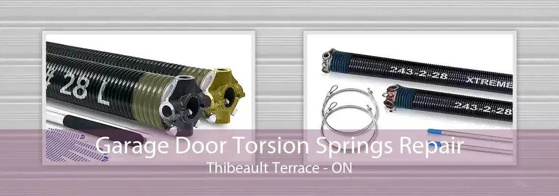 Garage Door Torsion Springs Repair Thibeault Terrace - ON