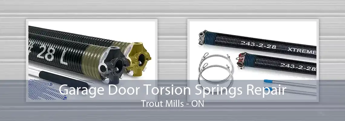 Garage Door Torsion Springs Repair Trout Mills - ON