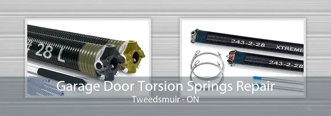 Garage Door Torsion Springs Repair Tweedsmuir - ON