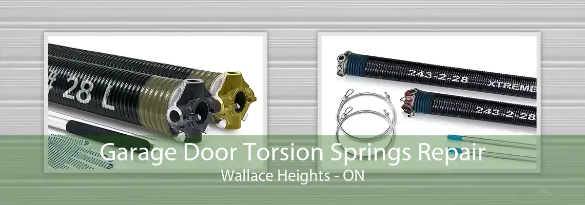 Garage Door Torsion Springs Repair Wallace Heights - ON