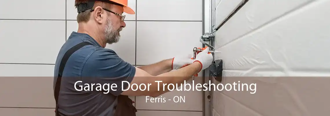 Garage Door Troubleshooting Ferris - ON