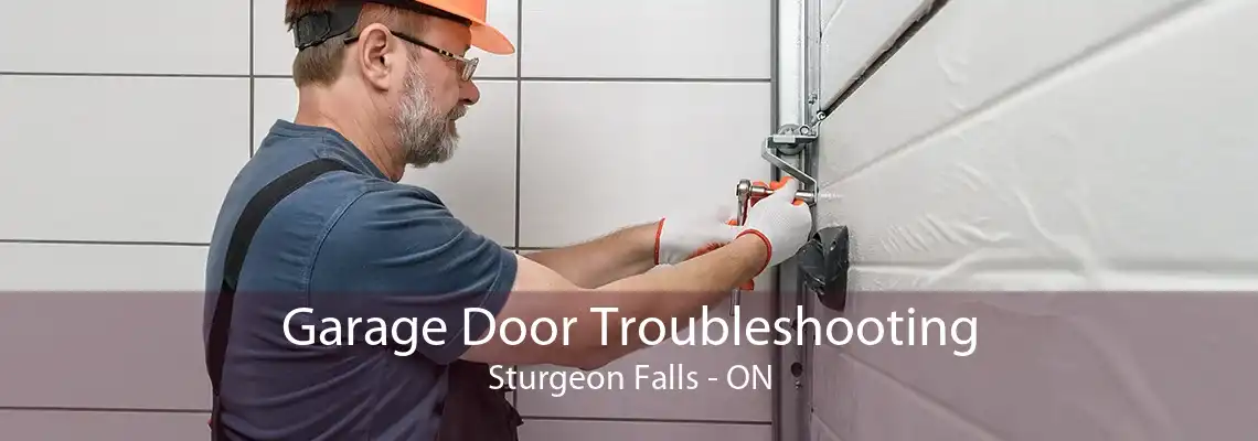 Garage Door Troubleshooting Sturgeon Falls - ON