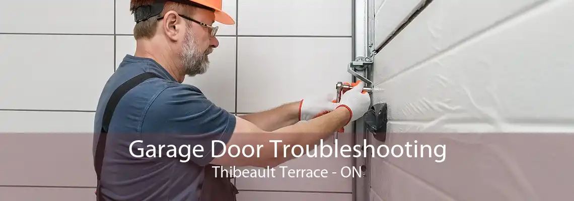 Garage Door Troubleshooting Thibeault Terrace - ON