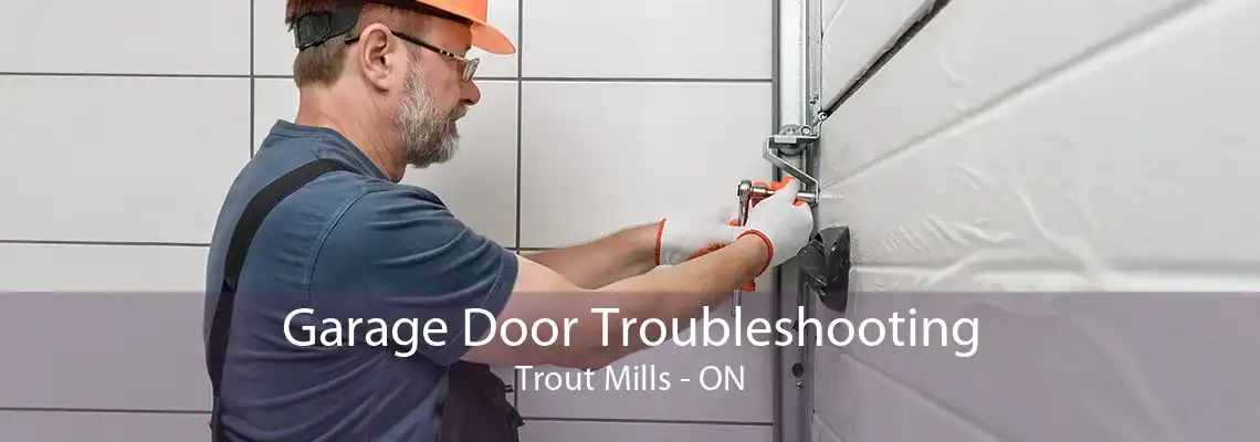 Garage Door Troubleshooting Trout Mills - ON