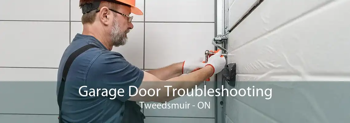 Garage Door Troubleshooting Tweedsmuir - ON