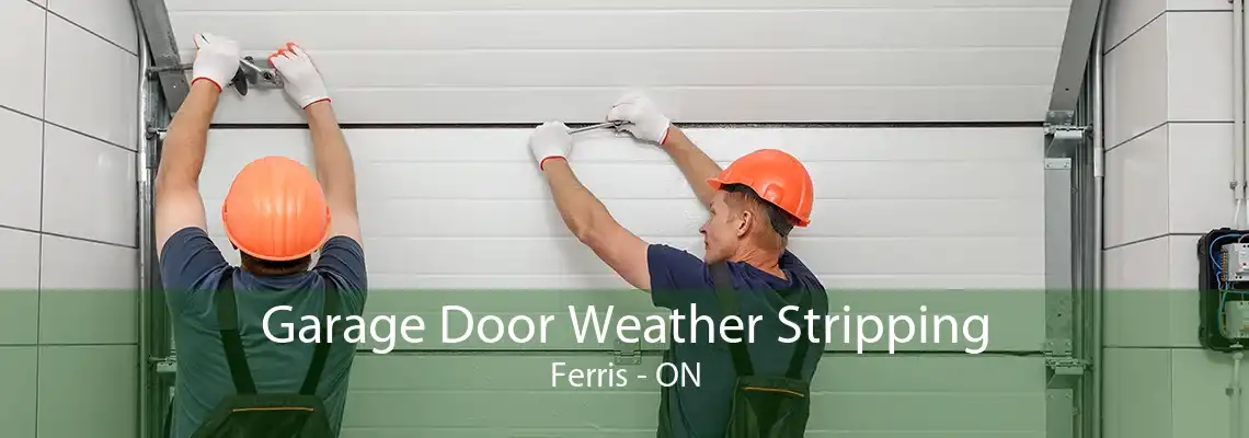 Garage Door Weather Stripping Ferris - ON