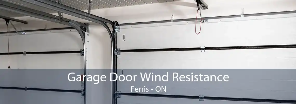 Garage Door Wind Resistance Ferris - ON