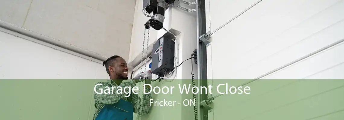 Garage Door Wont Close Fricker - ON
