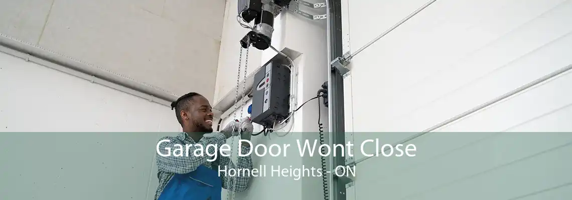 Garage Door Wont Close Hornell Heights - ON
