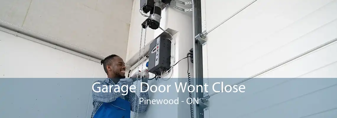 Garage Door Wont Close Pinewood - ON