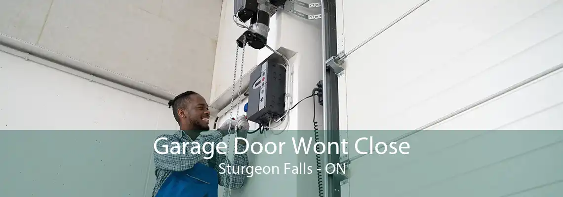 Garage Door Wont Close Sturgeon Falls - ON