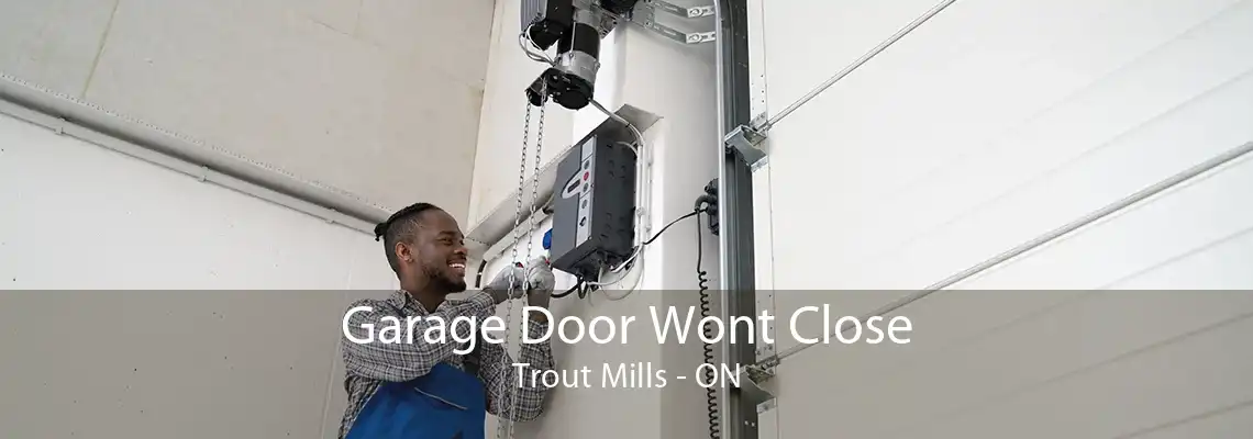 Garage Door Wont Close Trout Mills - ON
