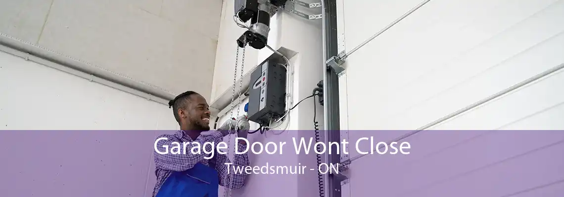 Garage Door Wont Close Tweedsmuir - ON