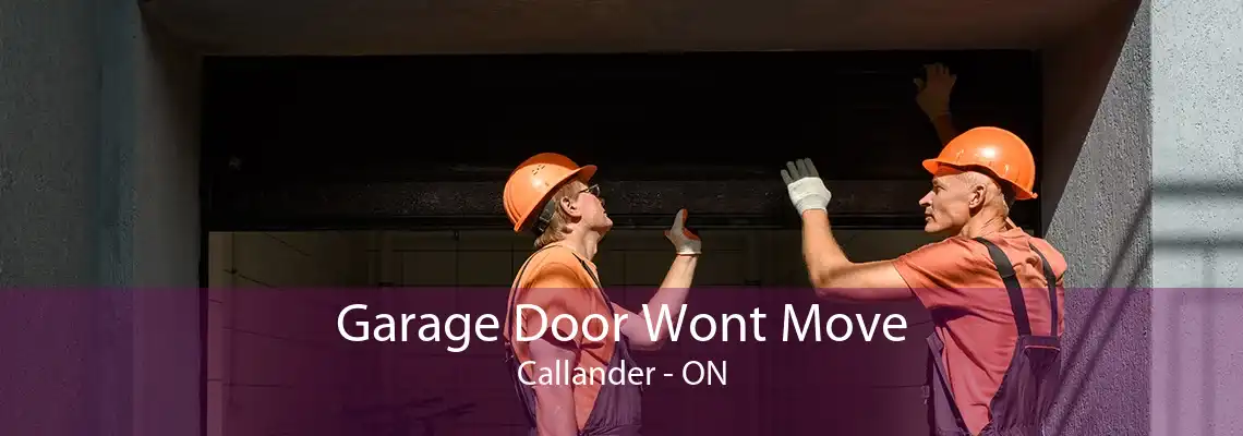 Garage Door Wont Move Callander - ON