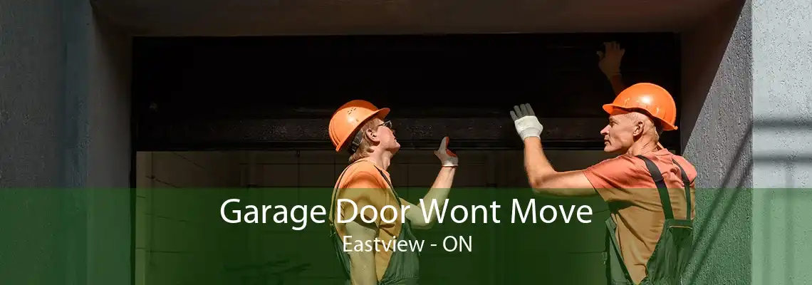 Garage Door Wont Move Eastview - ON