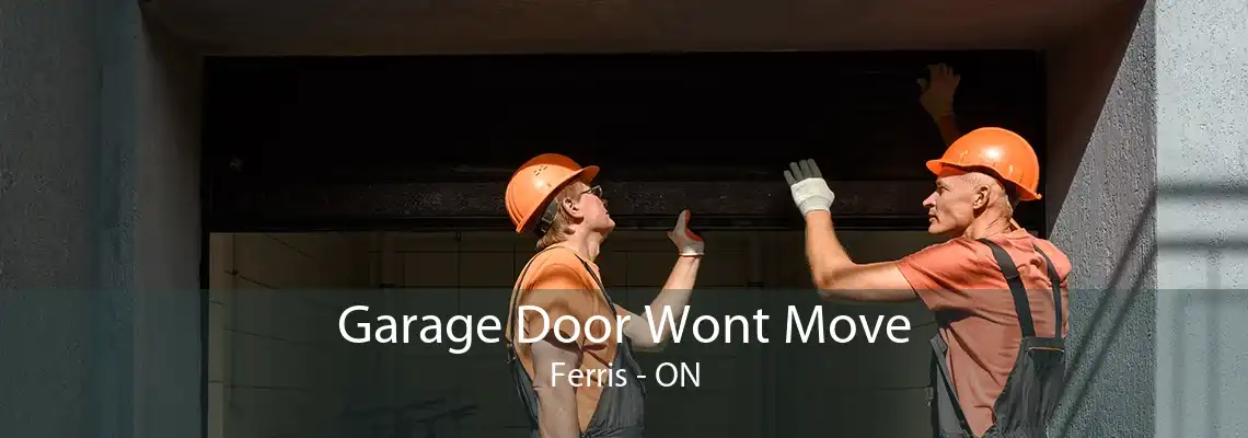 Garage Door Wont Move Ferris - ON
