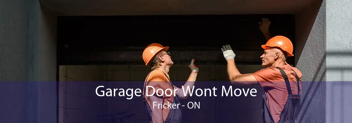 Garage Door Wont Move Fricker - ON