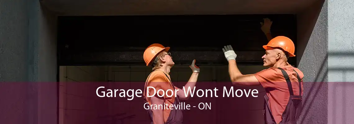 Garage Door Wont Move Graniteville - ON