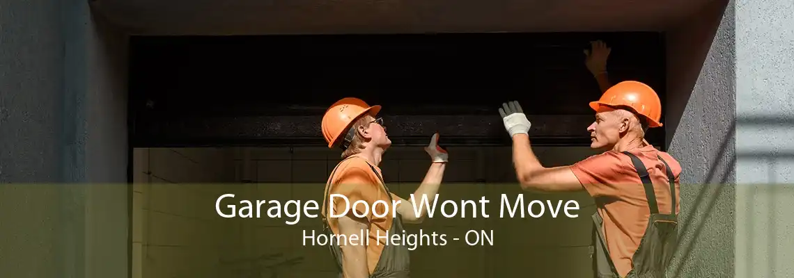 Garage Door Wont Move Hornell Heights - ON