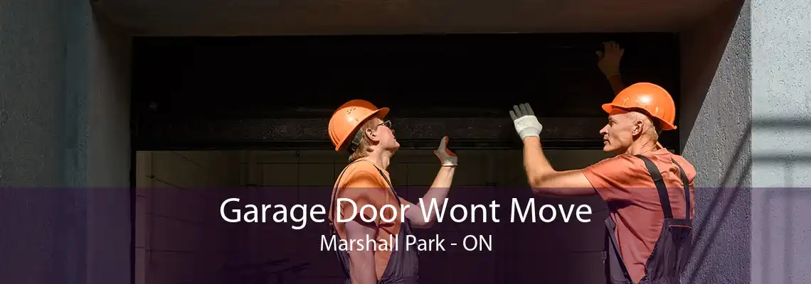 Garage Door Wont Move Marshall Park - ON