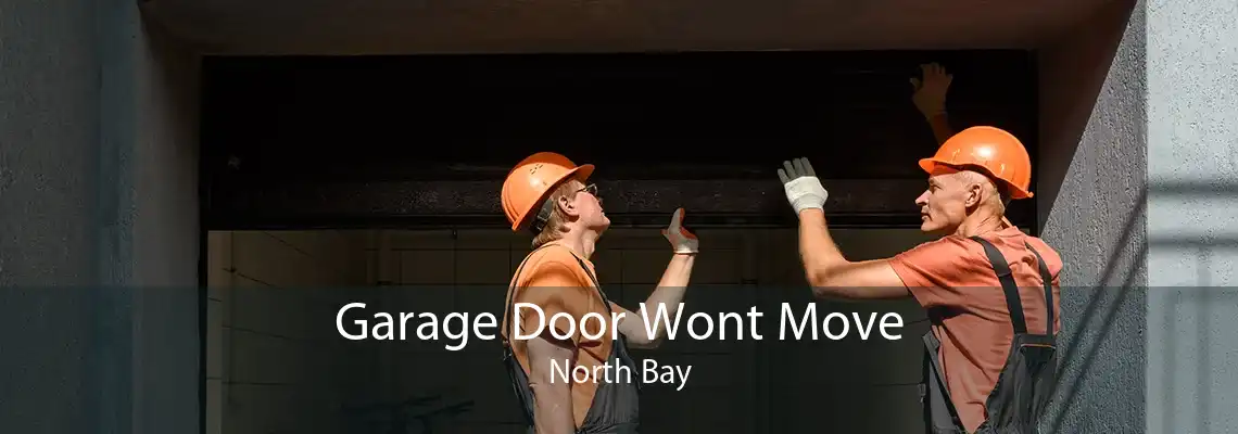 Garage Door Wont Move North Bay