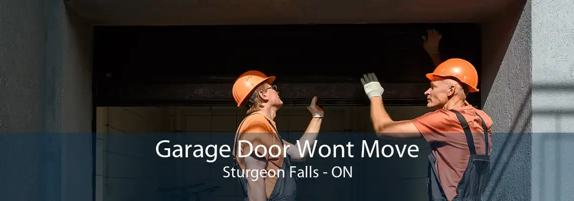 Garage Door Wont Move Sturgeon Falls - ON