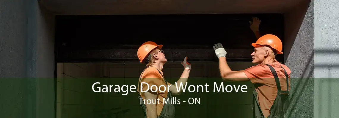 Garage Door Wont Move Trout Mills - ON